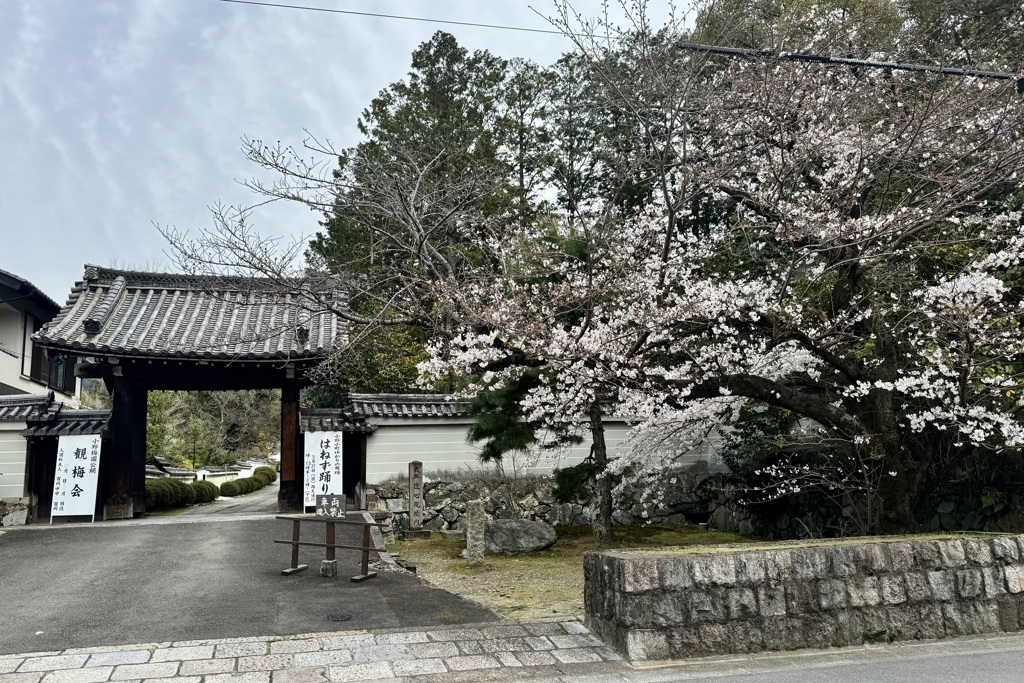 20240402山科区02