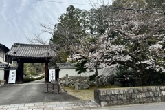 20240402山科区02