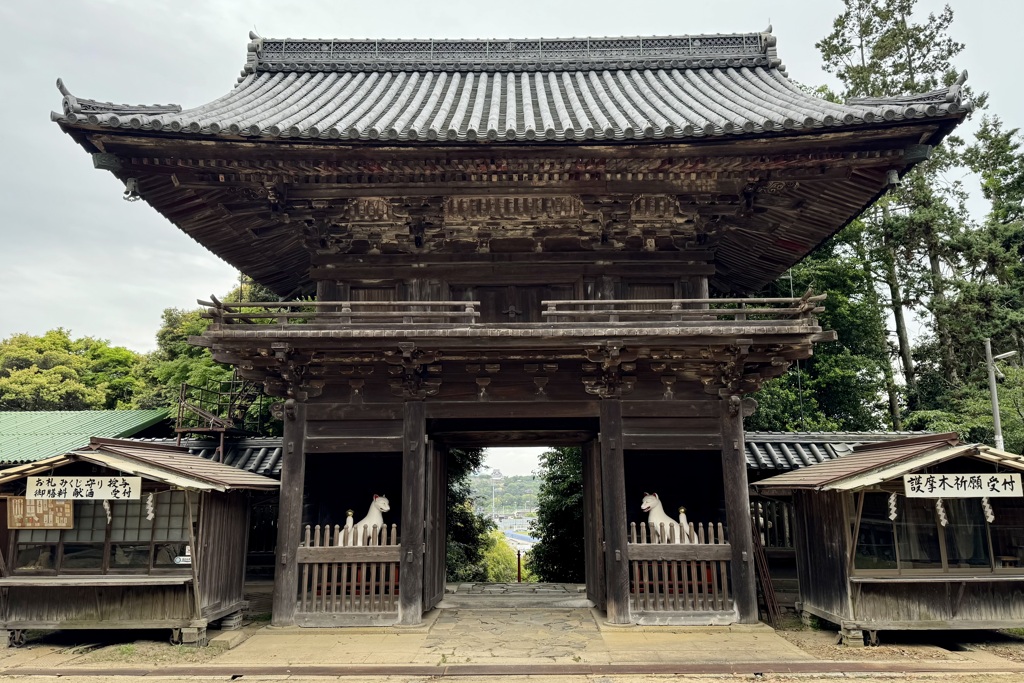 20240506彦根市05