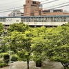 20210510鳥取市02