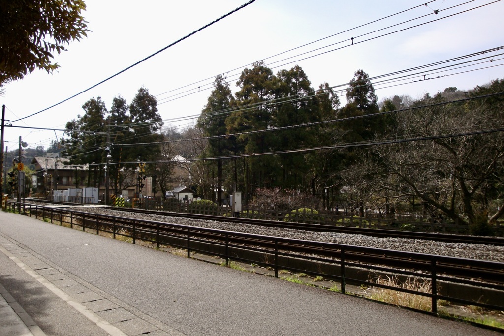 20090313鎌倉市02