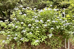 20220628山口県平生町04