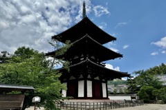 20240604斑鳩町02
