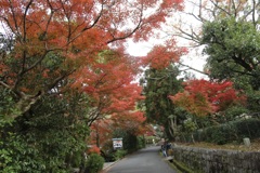 20181130東山区08