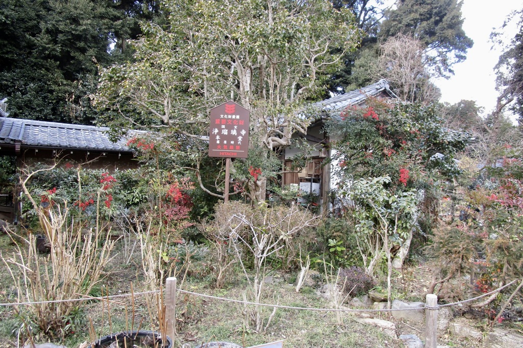 20190124木津川市15