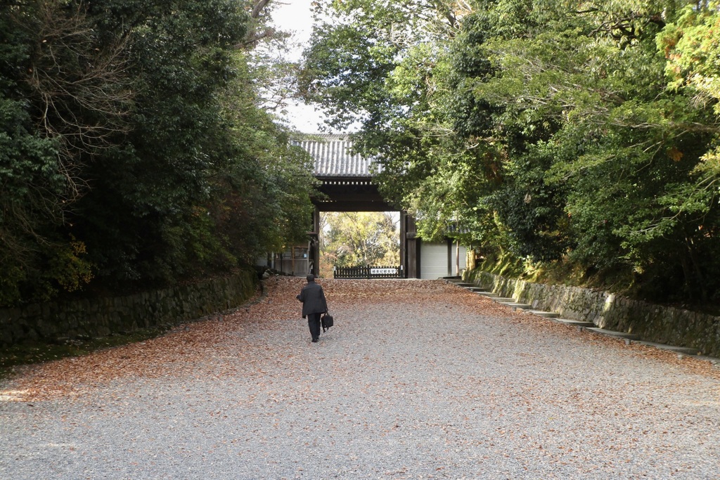 20181214東山区14