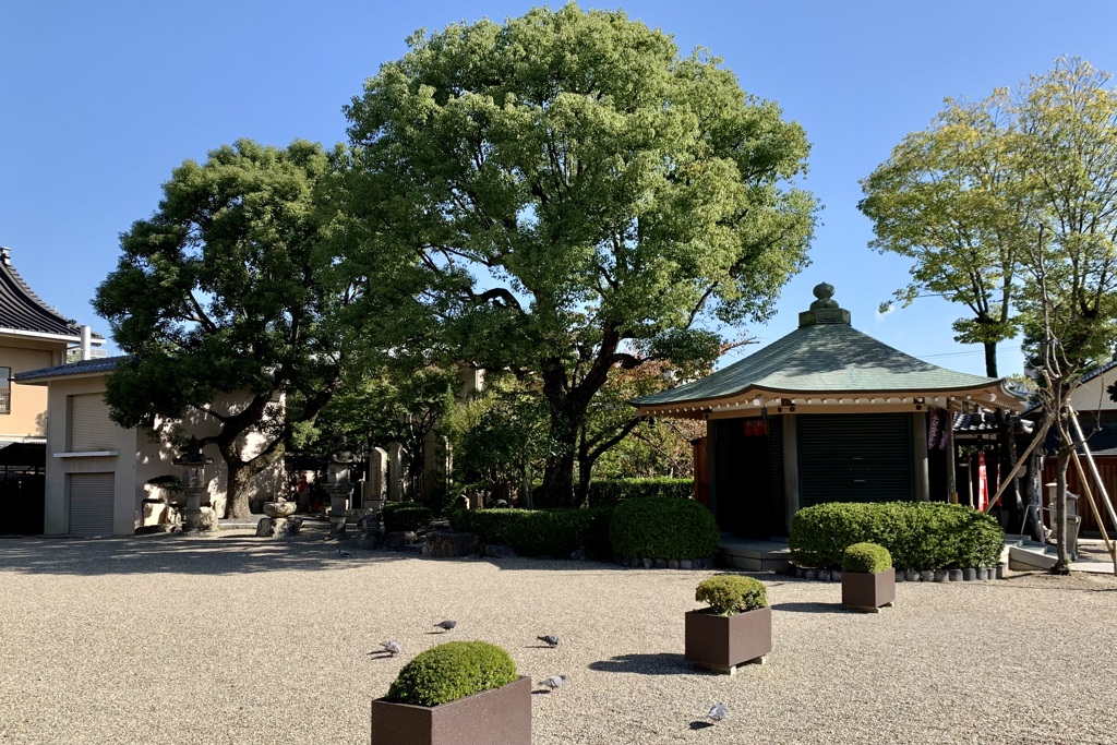 20191105下京区05