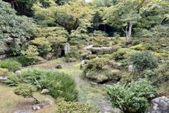 20241023左京区21