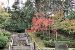 20191118伏見区02
