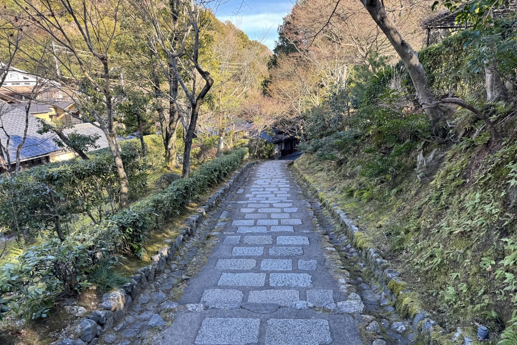 20240111右京区11