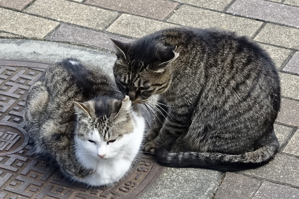 20150219長崎市67