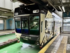 20240621若葉区01