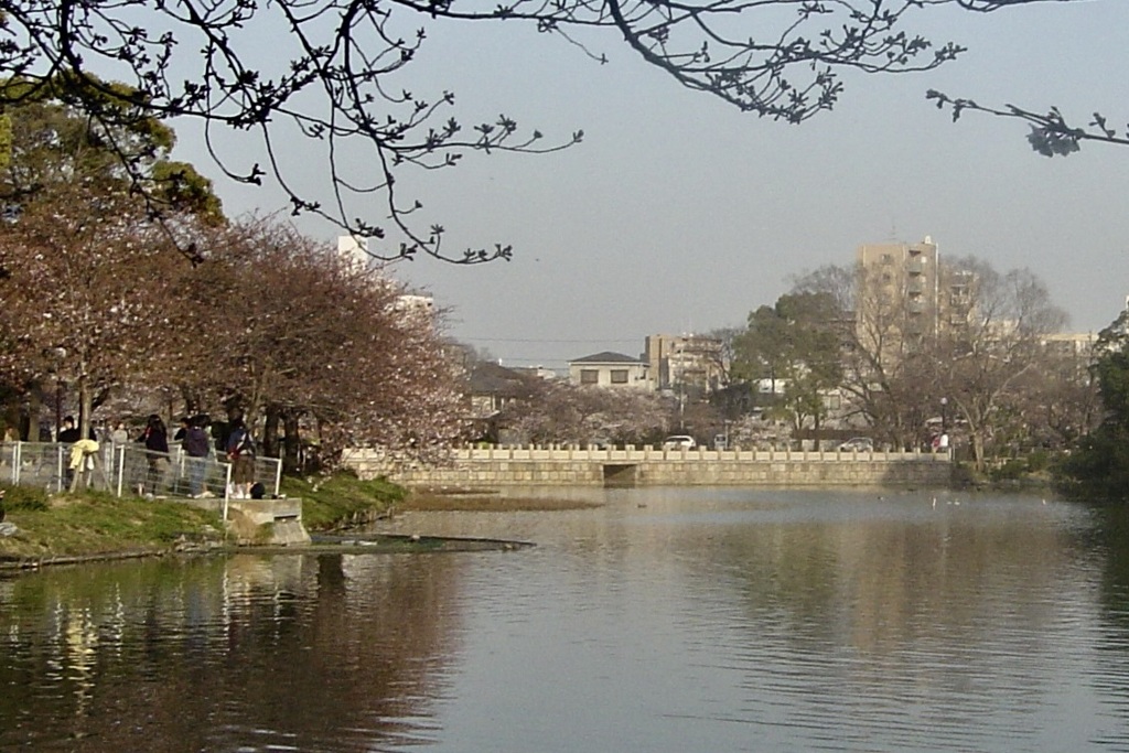 20050405大阪市住吉区09