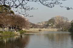 20050405大阪市住吉区09