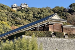 20241204松山市c12
