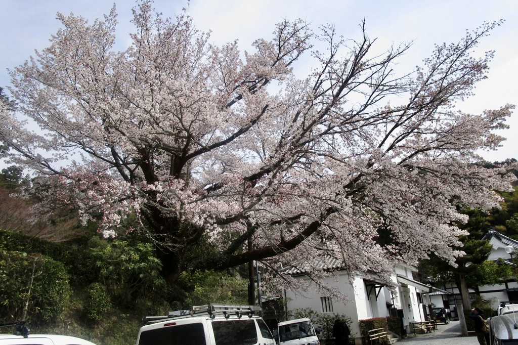 20190327東山区08