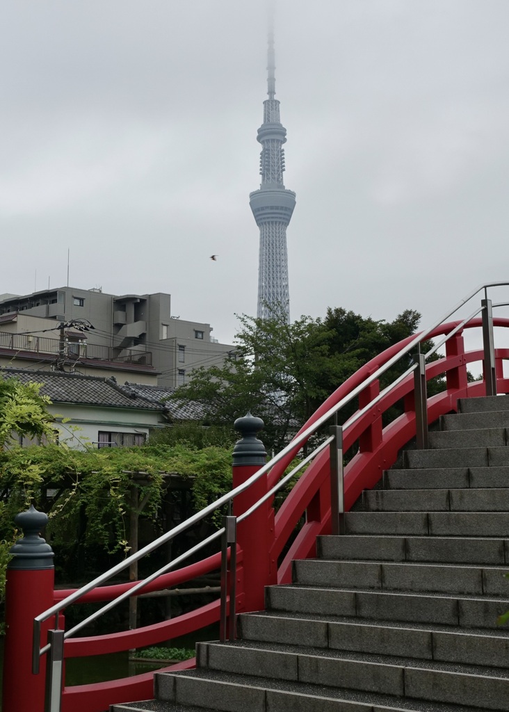 20170814江東区02