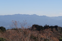 20111126千早赤坂村03