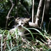 20080316鹿児島市15