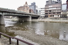 20181226東山区02