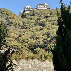 20241204松山市c14