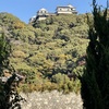 20241204松山市c14
