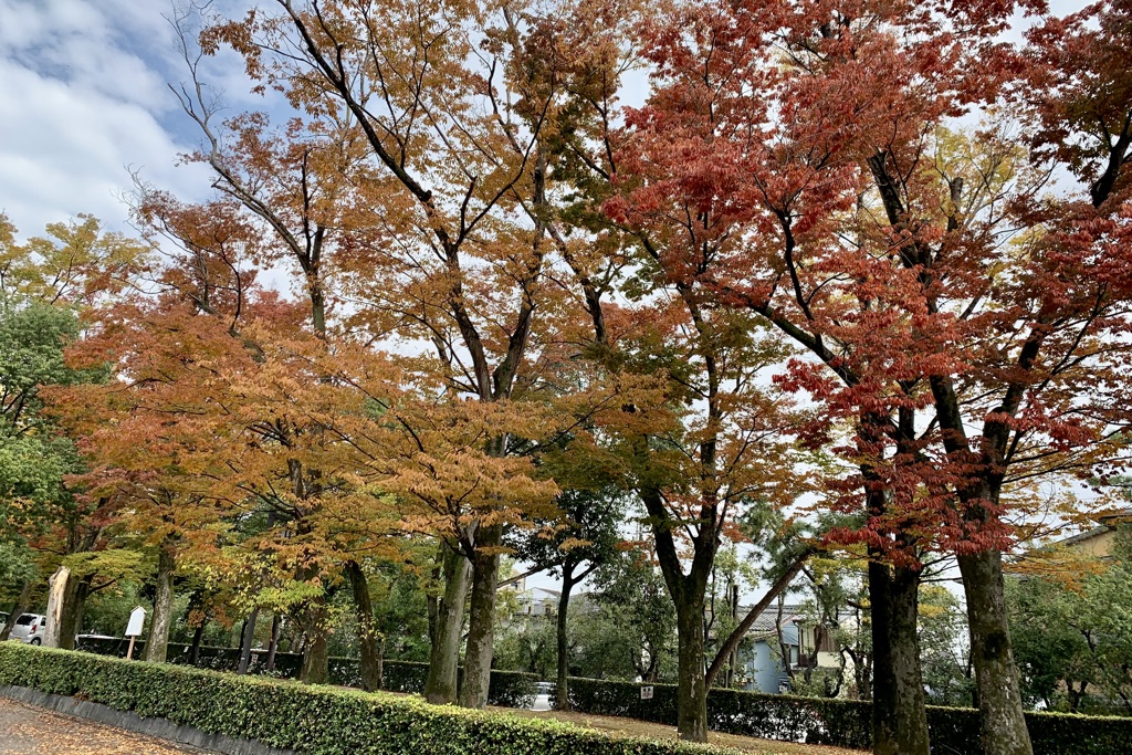 20191111上京区17