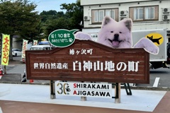 20240911鯵ヶ沢町08