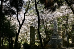20070328朝倉市22