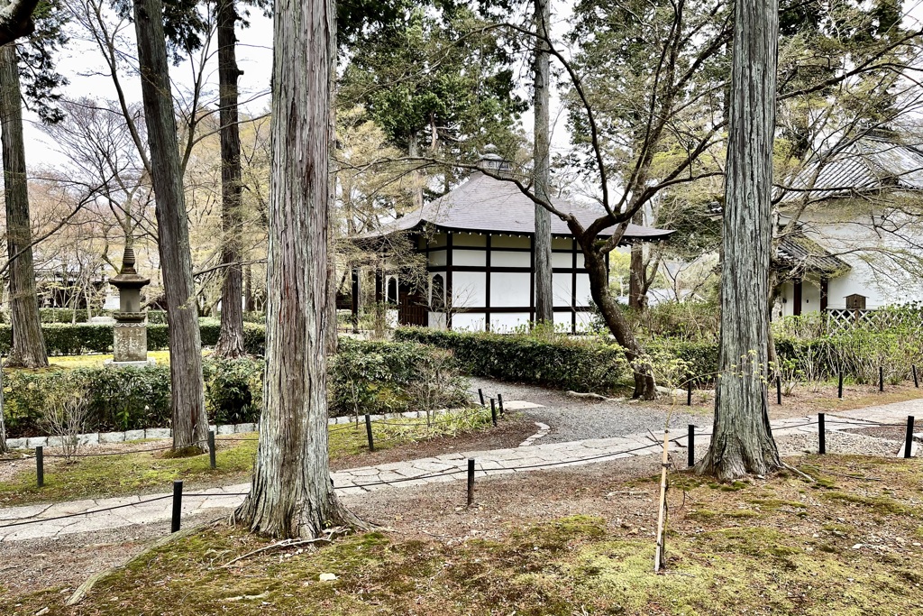 20230325左京区20