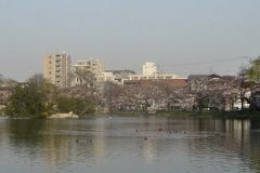 20050405大阪市住吉区06