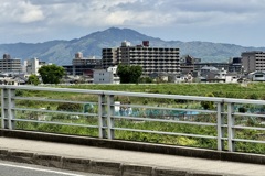 20240425西京区06