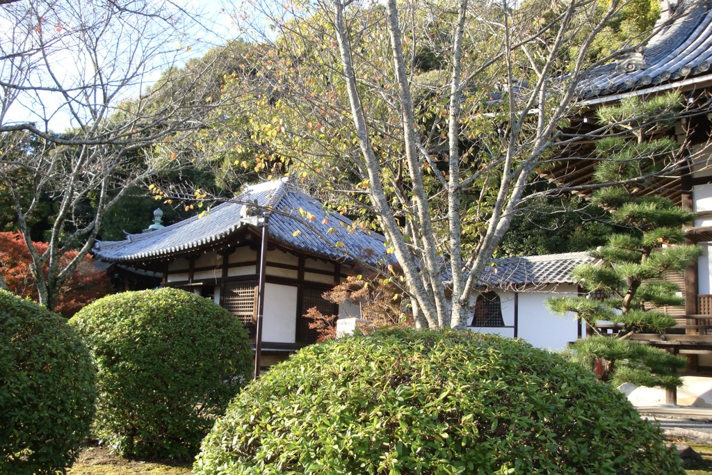 20091114岩出市05
