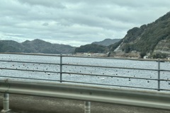 20250305宇和島市04