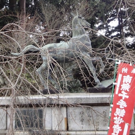 20110313和泉市12