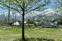 20250508白馬村05