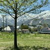 20250508白馬村05