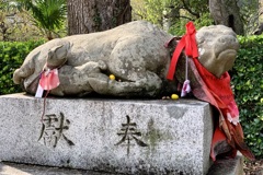 20191111上京区30