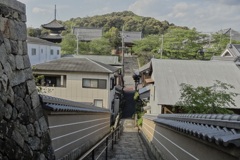 20130427大阪府太子町03