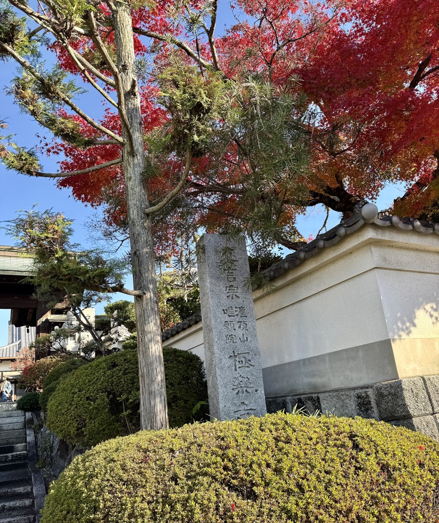 20241202松山市36