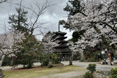 20240404木津川市10