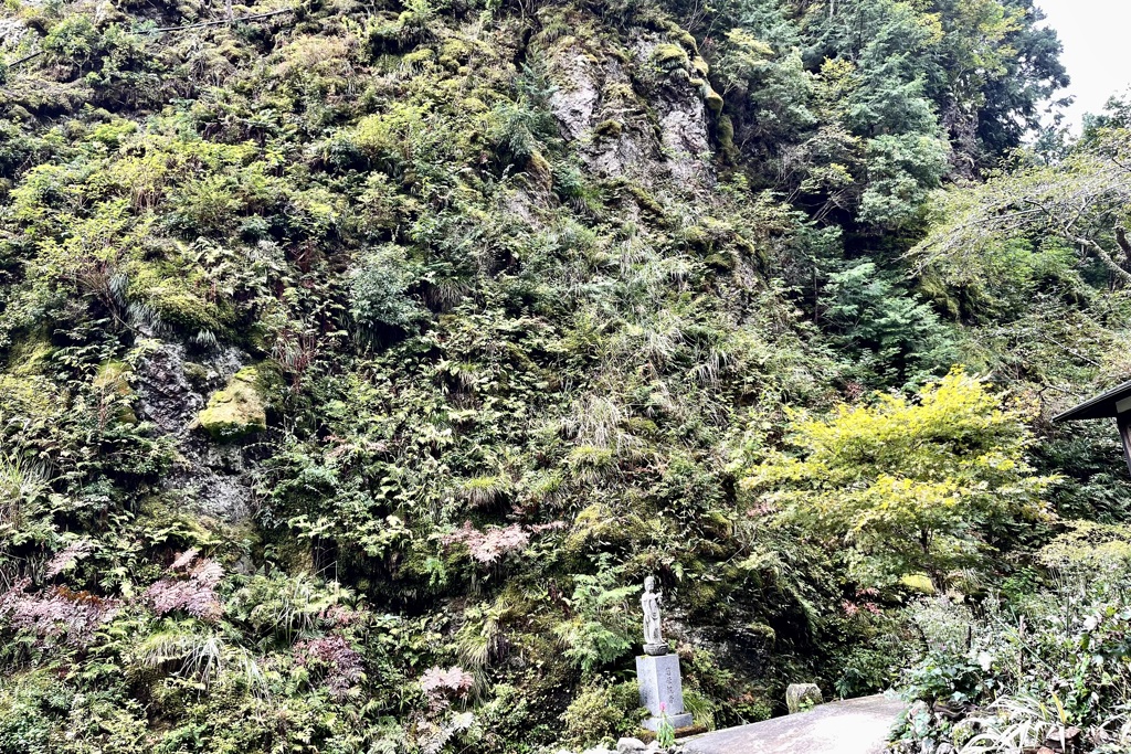 20220928米原市02