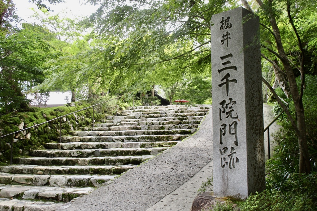 20180913左京区02