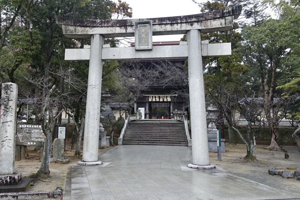 20150216福岡市東区14