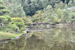 20241023左京区33