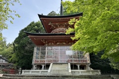 20240417西京区03