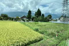 20190824安曇野市16