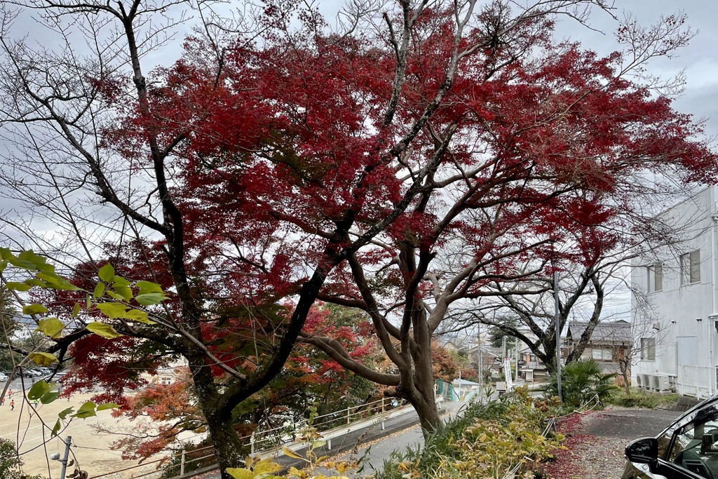 20221120甲賀市03