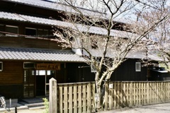20070328朝倉市34