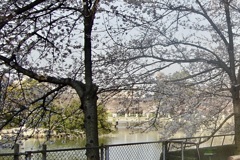 20050405大阪市住吉区03